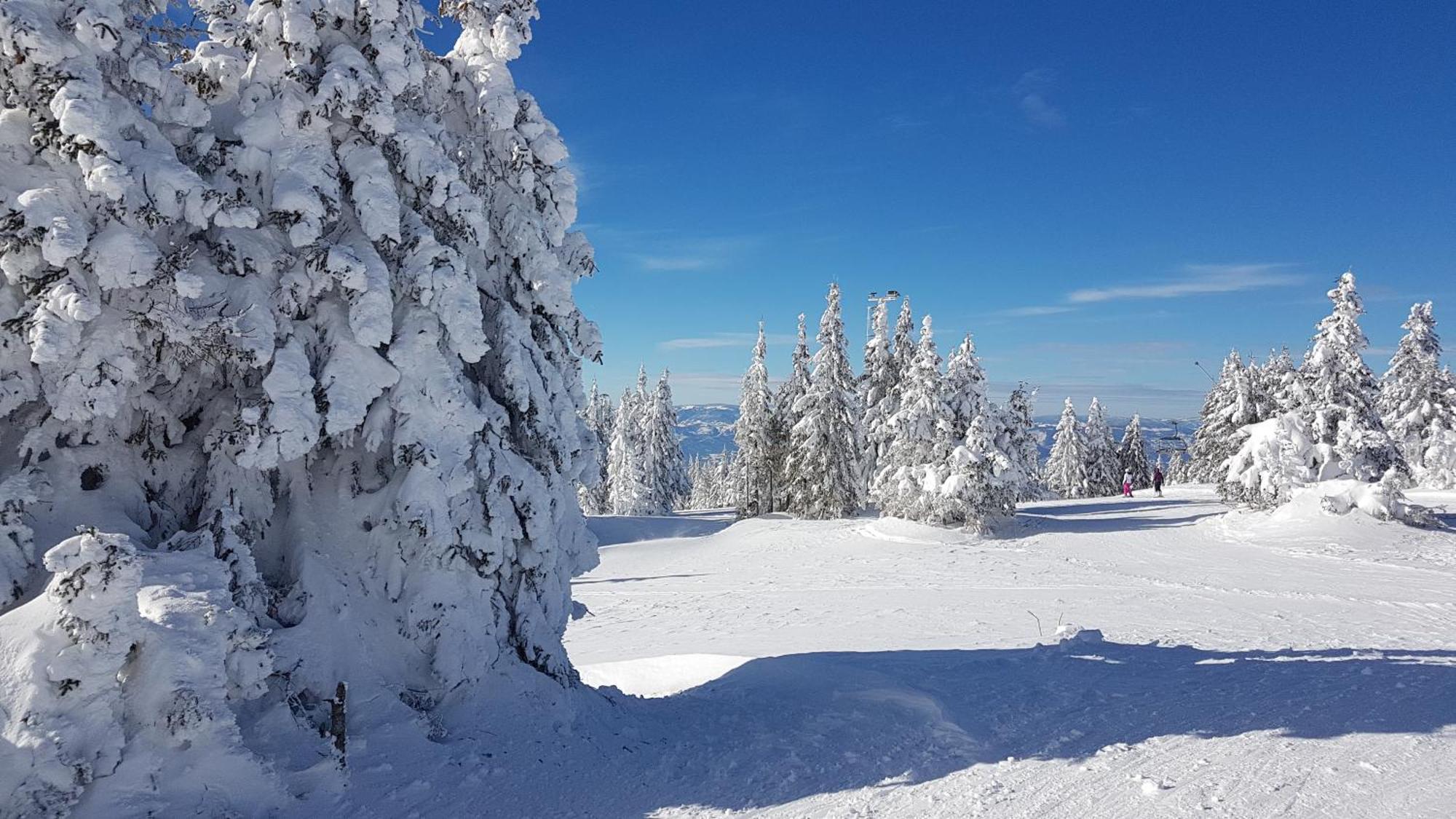 Marrilux Apartments Residence Hill Kopaonik Bagian luar foto